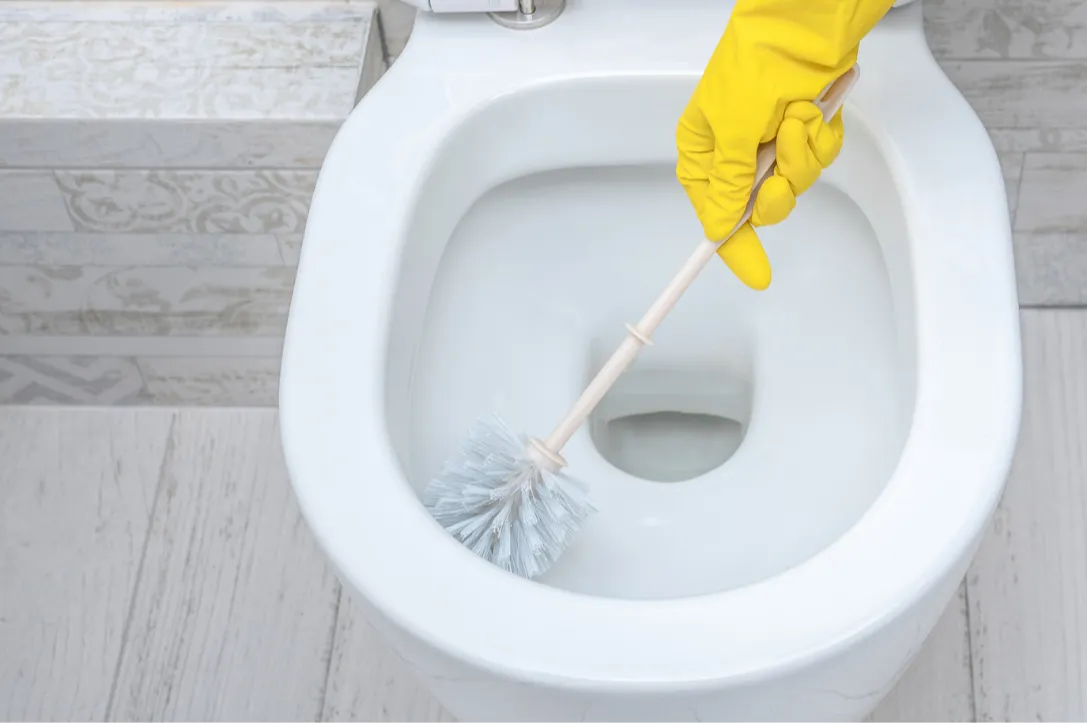 Toilet-Cleaning